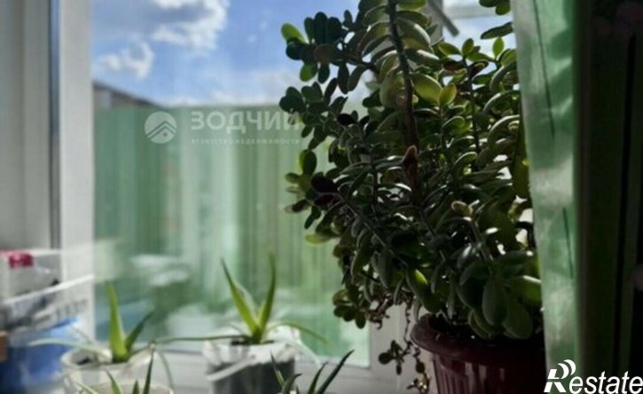 1-комн квартира Чувашская Республика &mdash; Чувашия, Мариинский Посад, Школьная улица, 6
