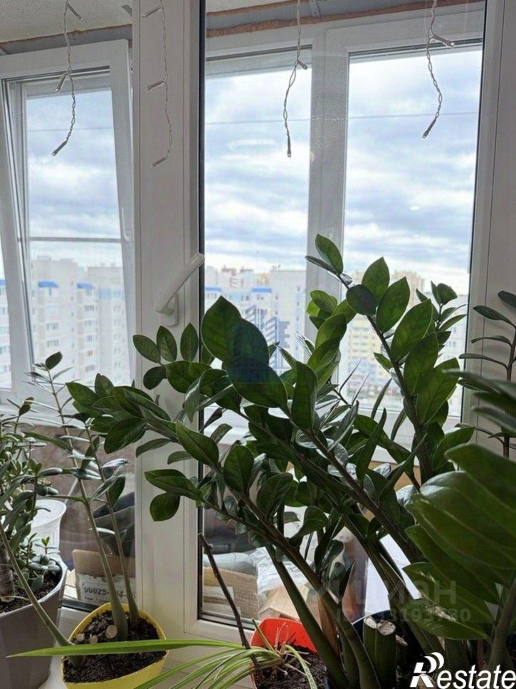 1-комн квартира Чебоксары